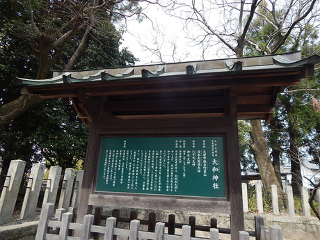 DSCN5902