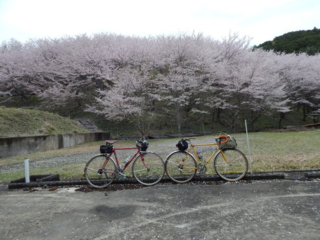 DSCN6168