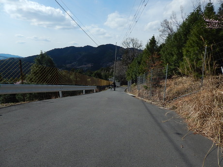 DSCN7851