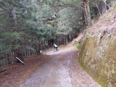 s-P2100127koya