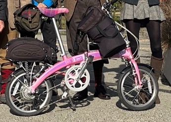 dahon