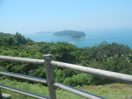 DSCN8453
