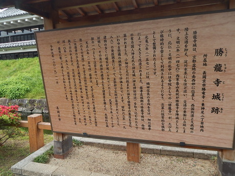 DSCN7468