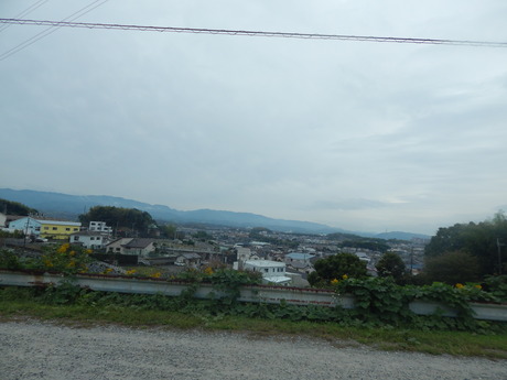DSCN5142