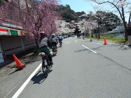DSCN8861
