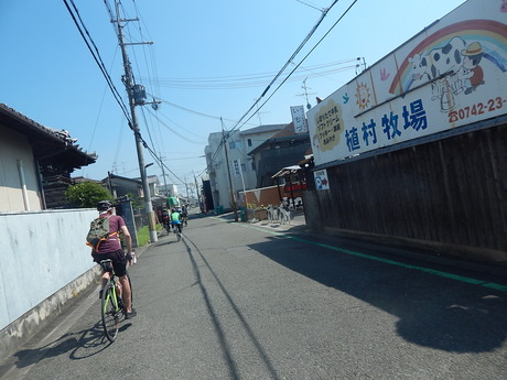 DSCN8849