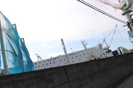 s-IMG_1262yumeshima