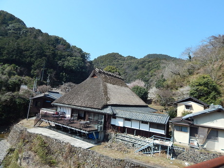 DSCN7161