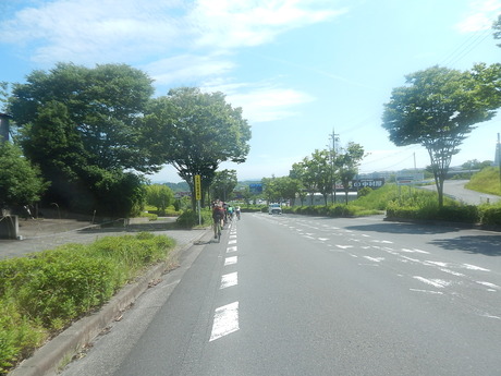 DSCN8616