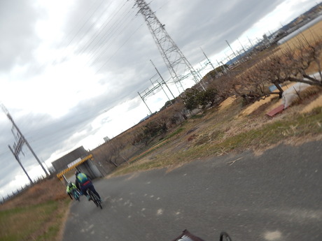 DSCN5987