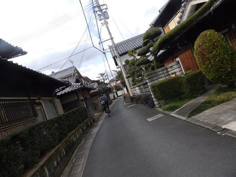 s-P1270107otai