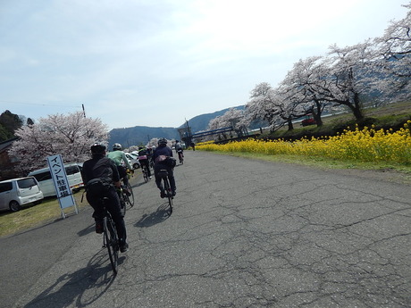 DSCN9133