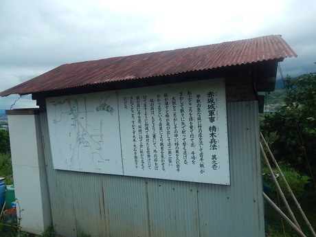 DSCN8115