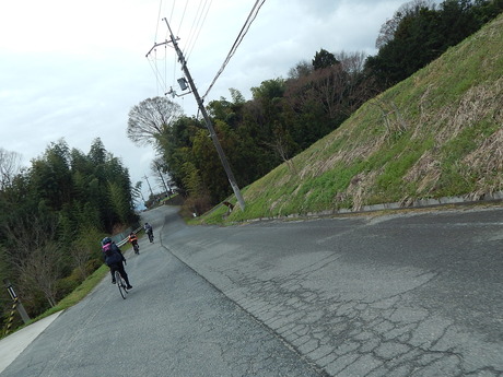 DSCN7525