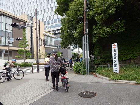 DSCN6554