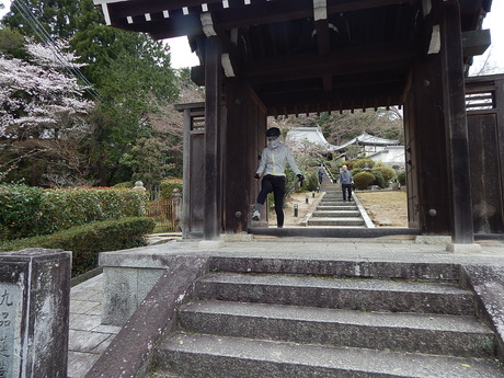 DSCN8118
