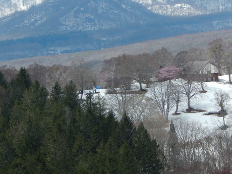DSCN5817