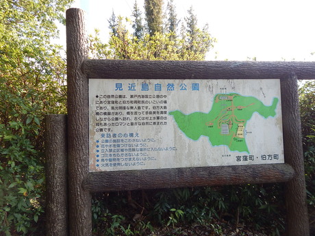 DSCN5223