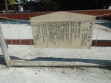 s-DSCN1486kasa