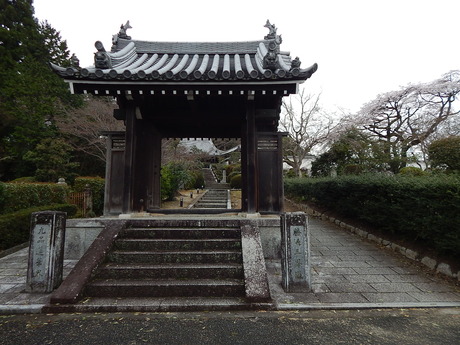 DSCN7432
