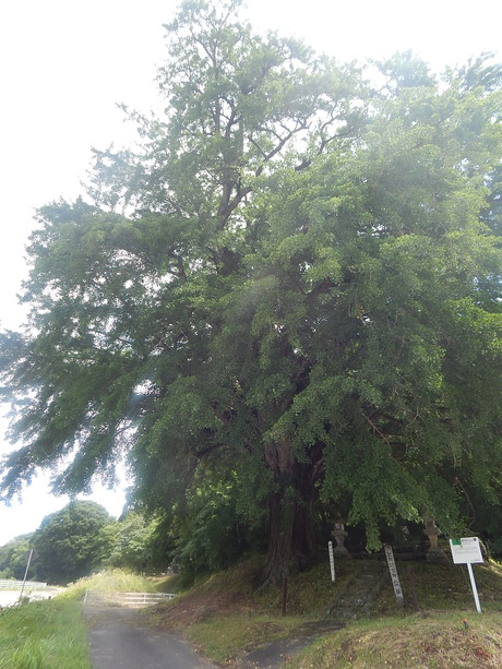 DSCN1137