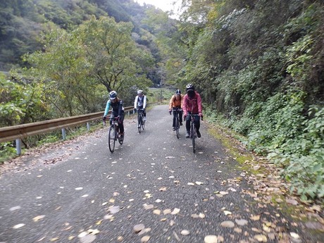 s-PB110090kushi