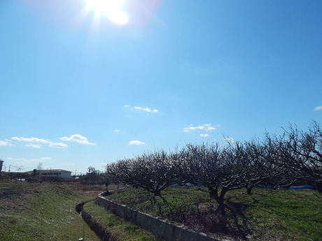 DSCN6848