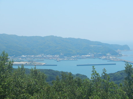 DSCN8455