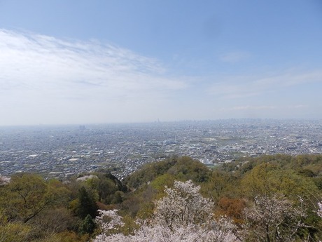 s-P4070179heguri