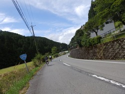 s-P73008620730