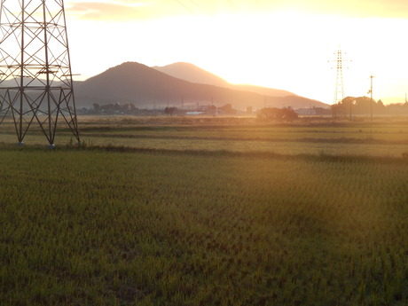 DSCN6528