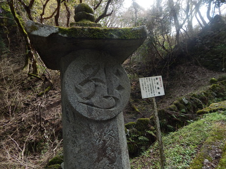 DSCN6403
