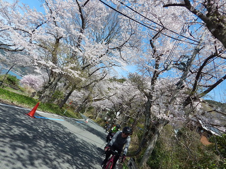 DSCN8848