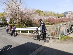 s-P4010285nara