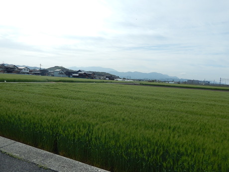 DSCN6728