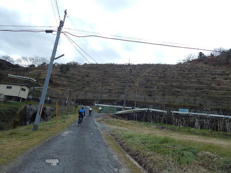 DSCN4473