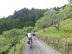 s-P6100255toei