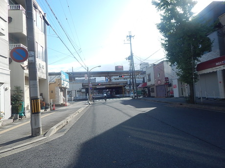 DSCN4654