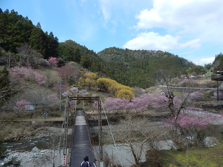 DSCN7794