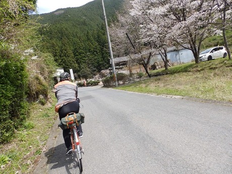 s-P4130231higashiyo