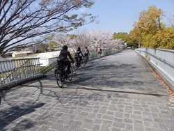 s-P4010269nara