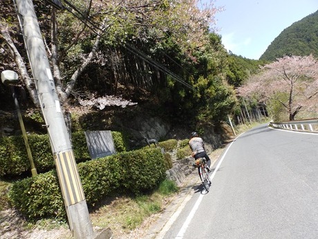 s-P4130114higashiyo