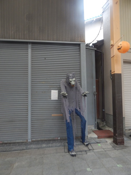 DSCN5203