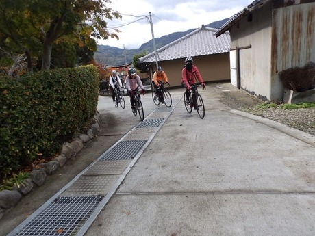 s-PB110014kushi