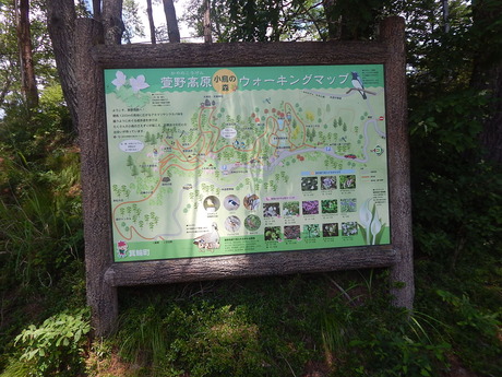 DSCN0250