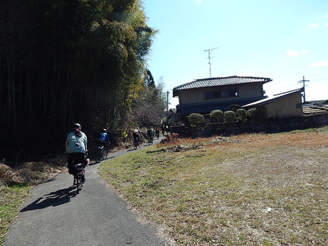 DSCN6847