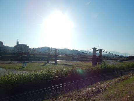 DSCN6182