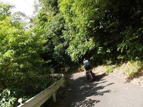 s-P6150043awaji