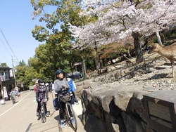 s-P4010195nara