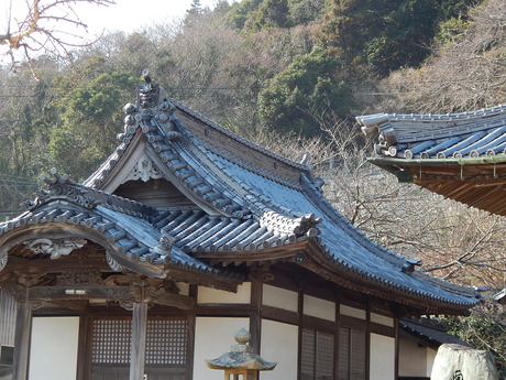 DSCN3389